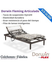 FLEX DORWIN FLEMING SOMIER ARTICULADO