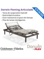 FLEX DORWIN FLEMING SOMIER ARTICULADO