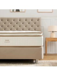 El lujo exclusivo de Flex en tu dormitorio: confort superior con acabados de alta costura.