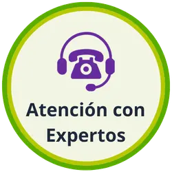 Asesoramiento Experto